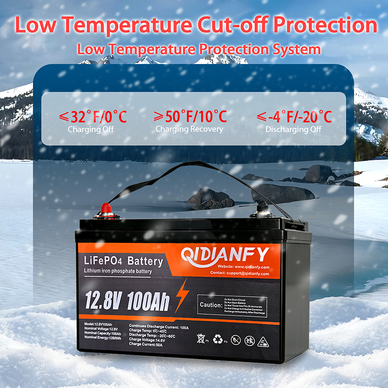 Qidianfy 12V 100Ah LiFePO4 Lit - Renewable Energy Source recensione e prezzo